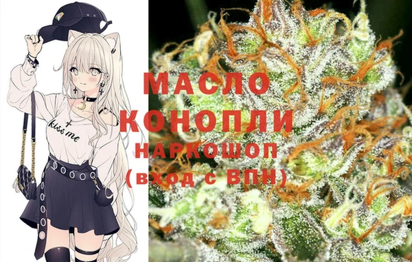 стаф Вязьма