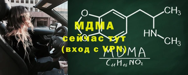 стаф Вязьма