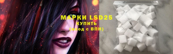 стаф Вязьма