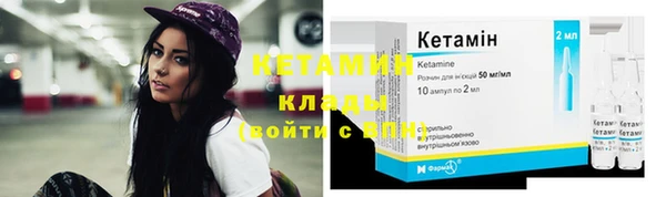 стаф Вязьма