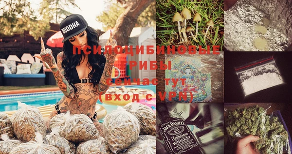 стаф Вязьма