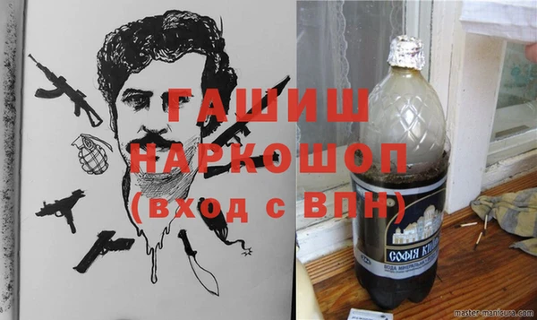 стаф Вязьма