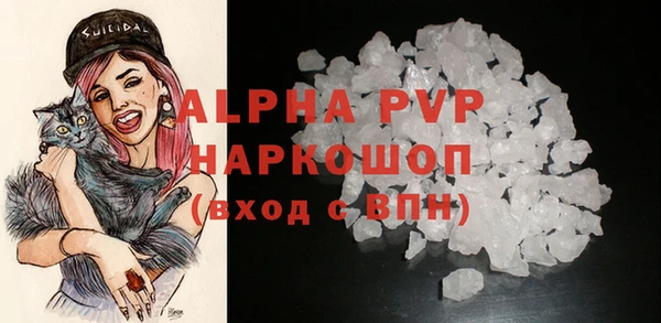 стаф Вязьма