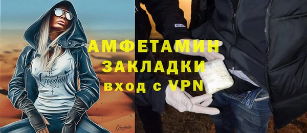 стаф Вязьма