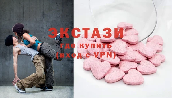 стаф Вязьма